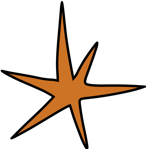 Orange star shape